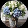 renees2ndchance